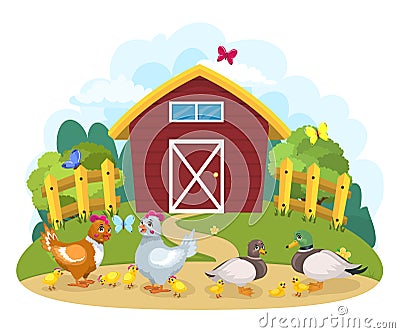 Birds on the farm. Chickens with chickens and a family of ducks with ducklings Vector Illustration